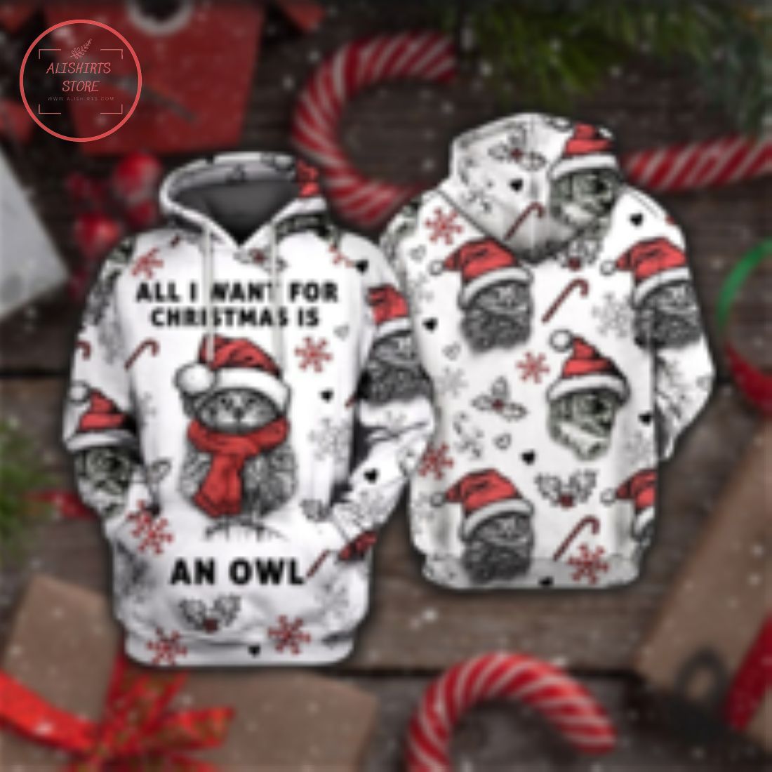 I Want An Owl in Christmas 3D Hoodie