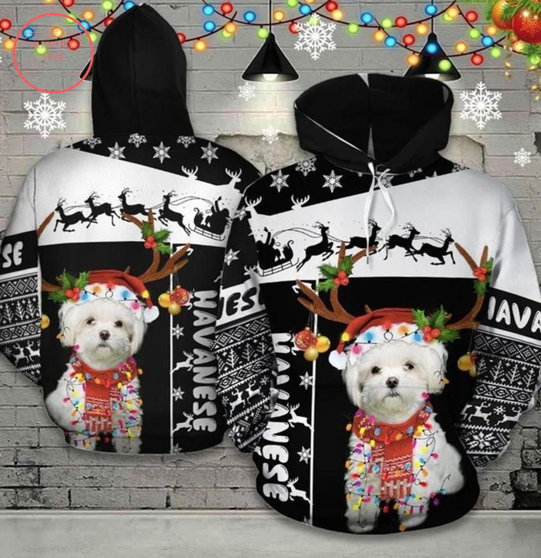 Havanese Christmas Cute Design 3D Printed Sublimation Hoodie